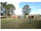 165 Old Coldstream Road, Ulmarra NSW 2462