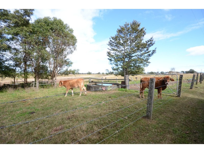165 Old Coldstream Road, Ulmarra NSW 2462
