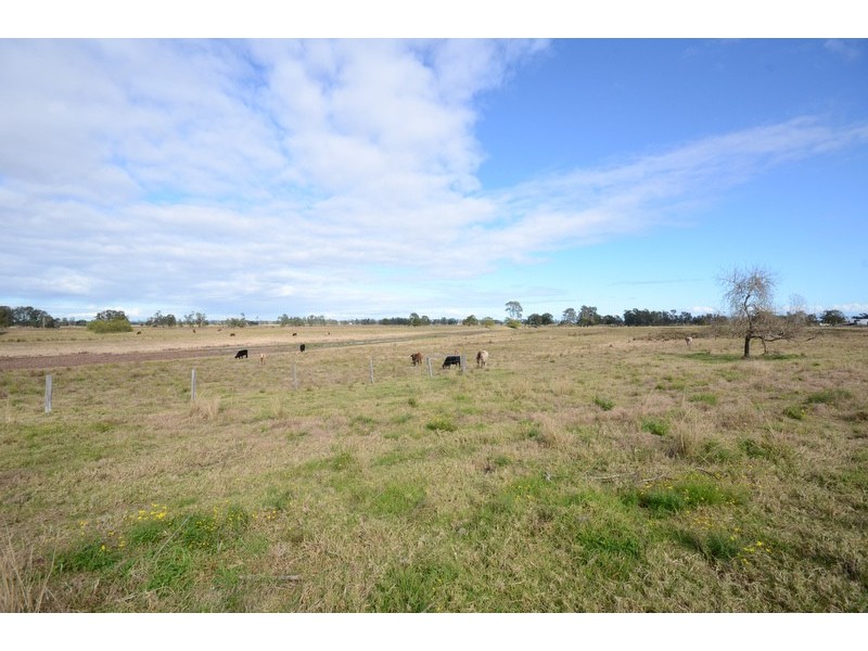 165 Old Coldstream Road, Ulmarra NSW 2462