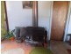 1698 Kangaroo Creek Road, Kangaroo Creek NSW 2460