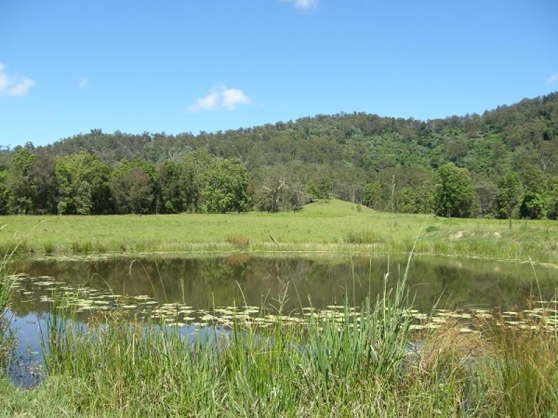 2378 Old Glen Innes Road, Buccarumbi NSW 2460