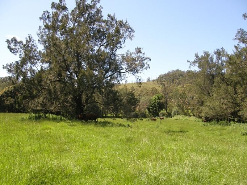 2378 Old Glen Innes Road, Buccarumbi NSW 2460