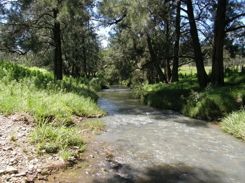 2378 Old Glen Innes Road, Buccarumbi NSW 2460