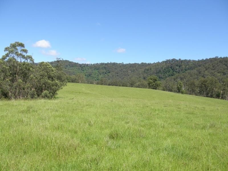 2378 Old Glen Innes Road, Buccarumbi NSW 2460