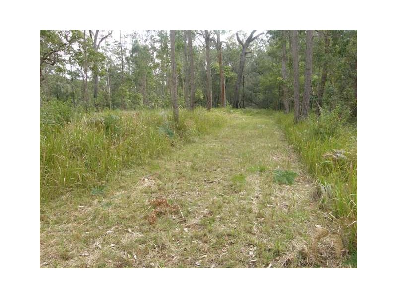 Lot 20 Jackadgery-Lilydale Road, Lilydale NSW 2460