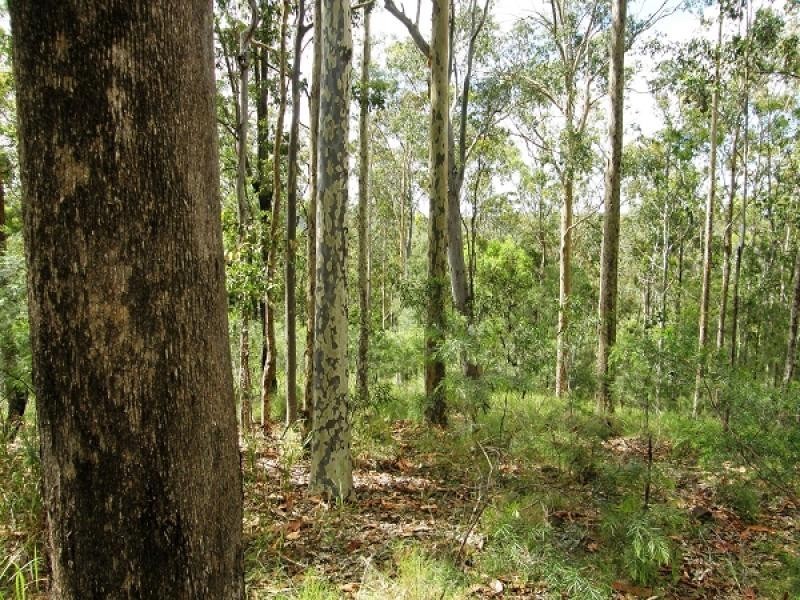 2541 Gwydir Highway, Ramornie NSW 2460