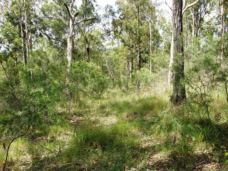 2541 Gwydir Highway, Ramornie NSW 2460