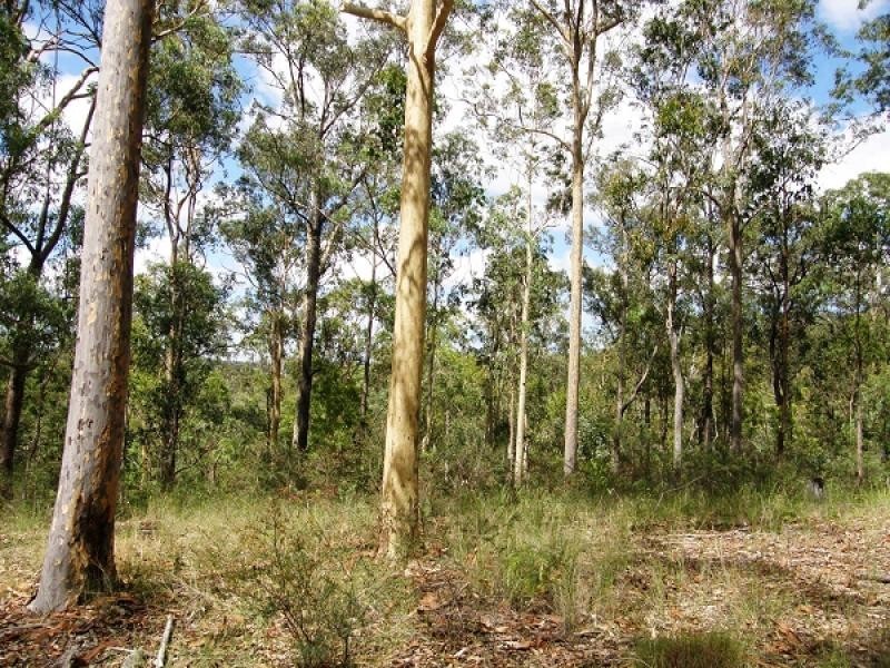 2541 Gwydir Highway, Ramornie NSW 2460