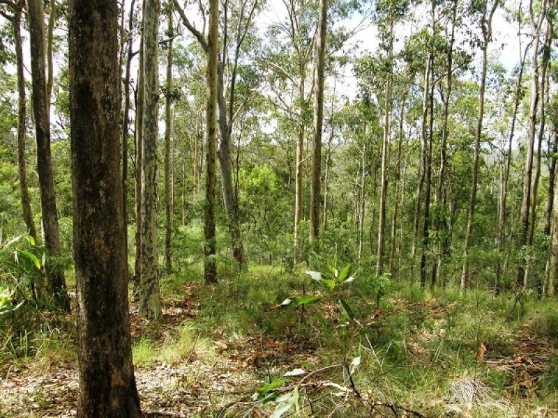 2541 Gwydir Highway, Ramornie NSW 2460