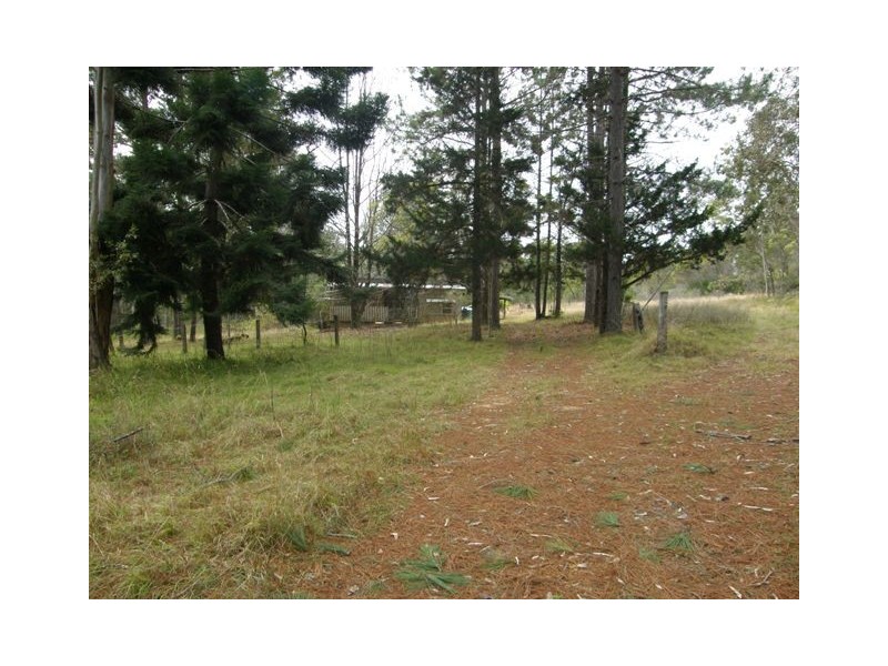 1074 Coaldale Road, Fortis Creek NSW 2460