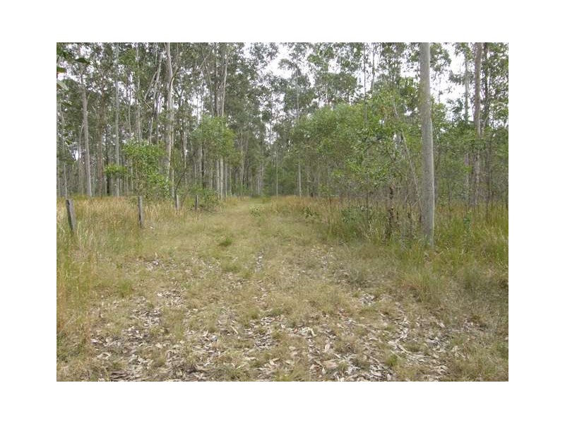 1074 Coaldale Road, Fortis Creek NSW 2460