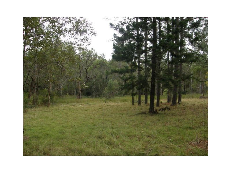 1074 Coaldale Road, Fortis Creek NSW 2460