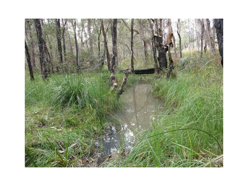 1074 Coaldale Road, Fortis Creek NSW 2460