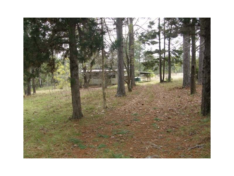 1074 Coaldale Road, Fortis Creek NSW 2460