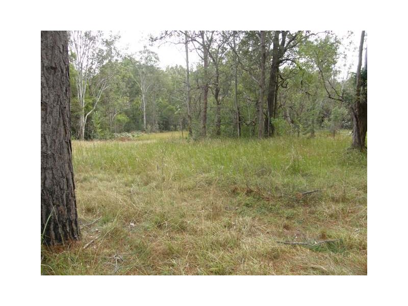 1074 Coaldale Road, Fortis Creek NSW 2460