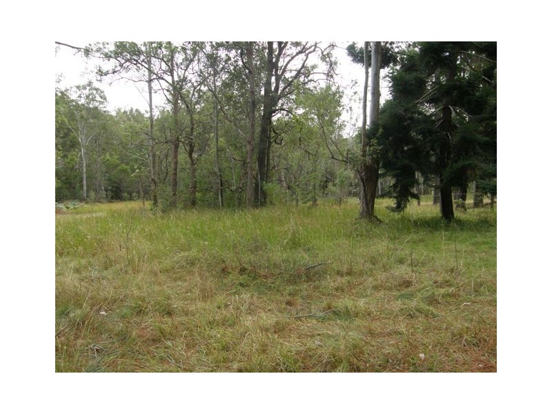 1074 Coaldale Road, Fortis Creek NSW 2460