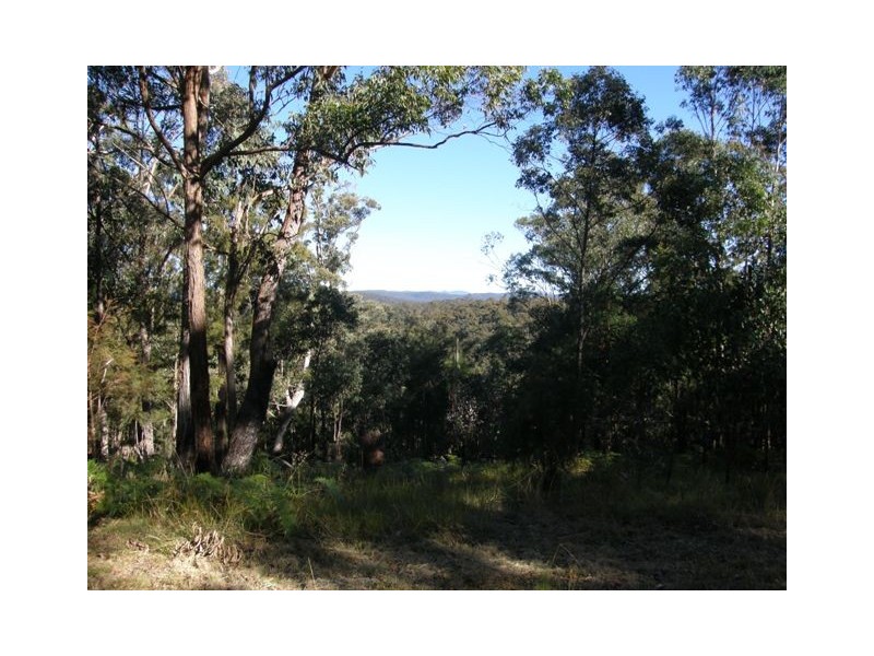 2533 Blacksmith Shop Road, Newton Boyd NSW 2370