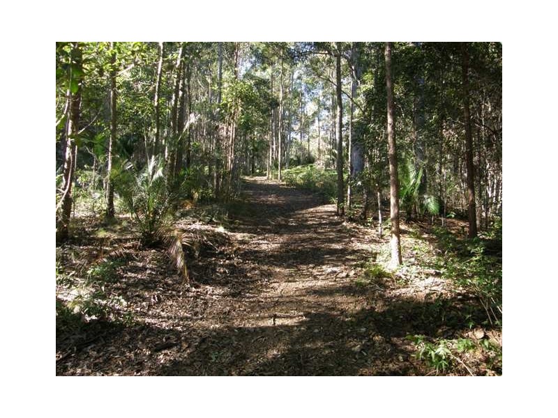 2533 Blacksmith Shop Road, Newton Boyd NSW 2370