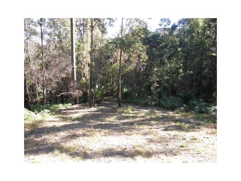 2533 Blacksmith Shop Road, Newton Boyd NSW 2370