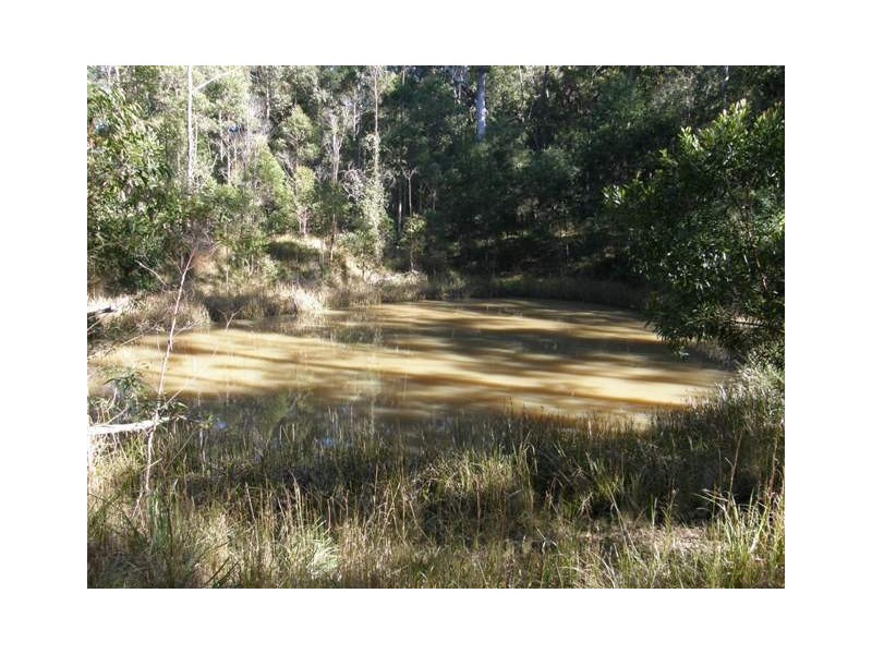 2533 Blacksmith Shop Road, Newton Boyd NSW 2370