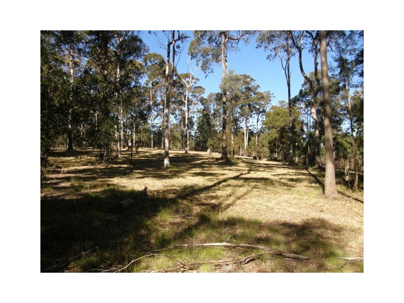 2533 Blacksmith Shop Road, Newton Boyd NSW 2370