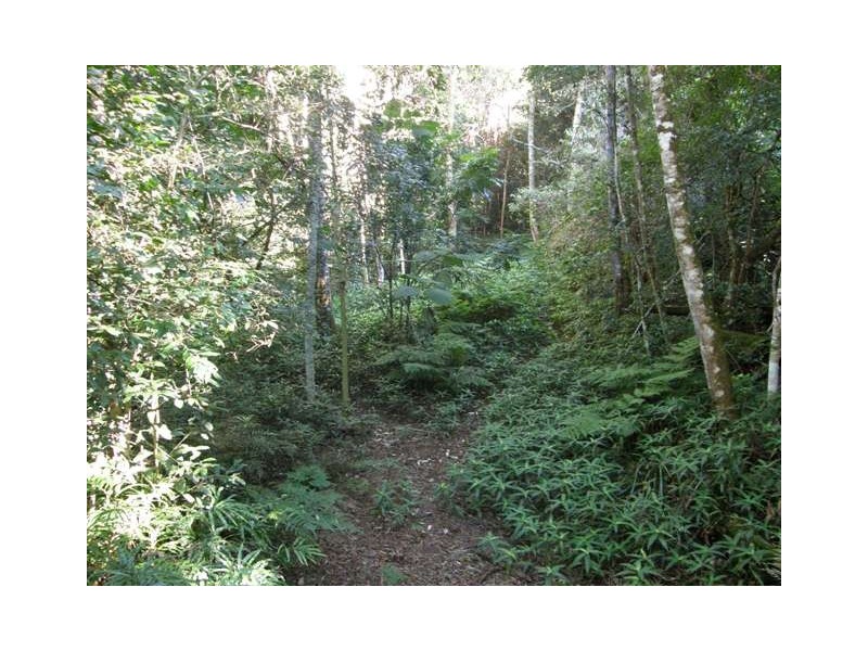 2533 Blacksmith Shop Road, Newton Boyd NSW 2370