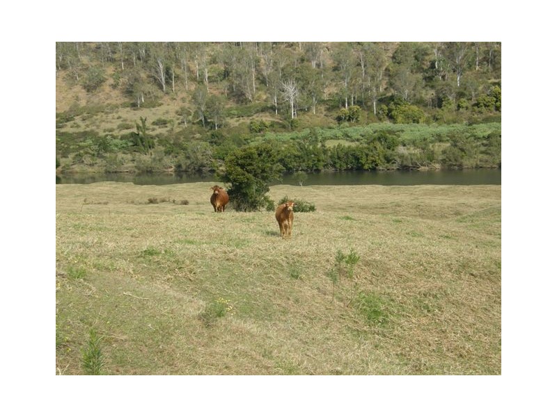 2201 Clarence Way, Upper Copmanhurst NSW 2460