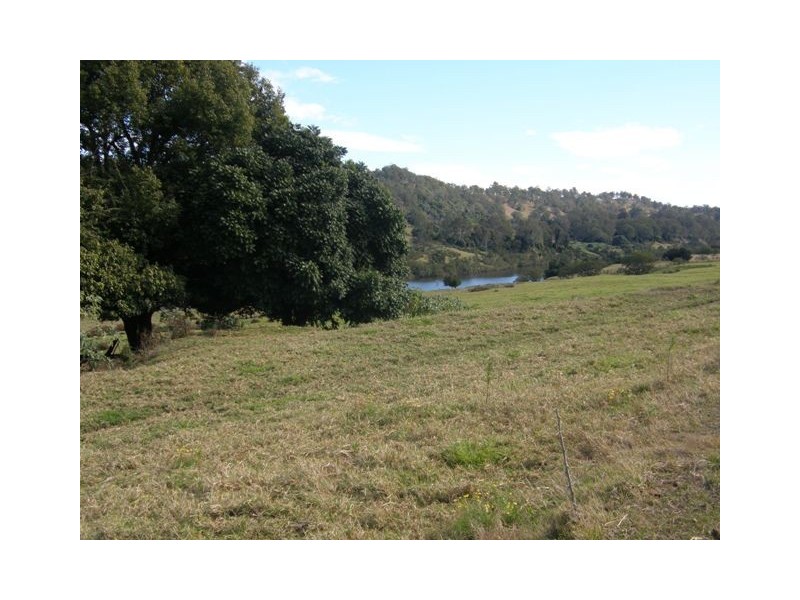 2201 Clarence Way, Upper Copmanhurst NSW 2460