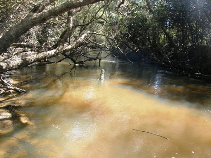 Lot 119 Orara Downs Road, Levenstrath NSW 2460