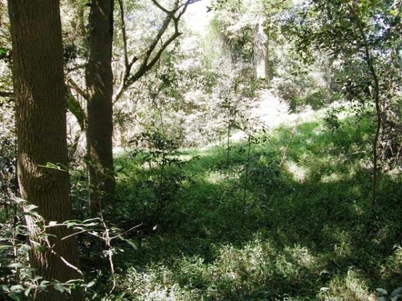 Lot 119 Orara Downs Road, Levenstrath NSW 2460