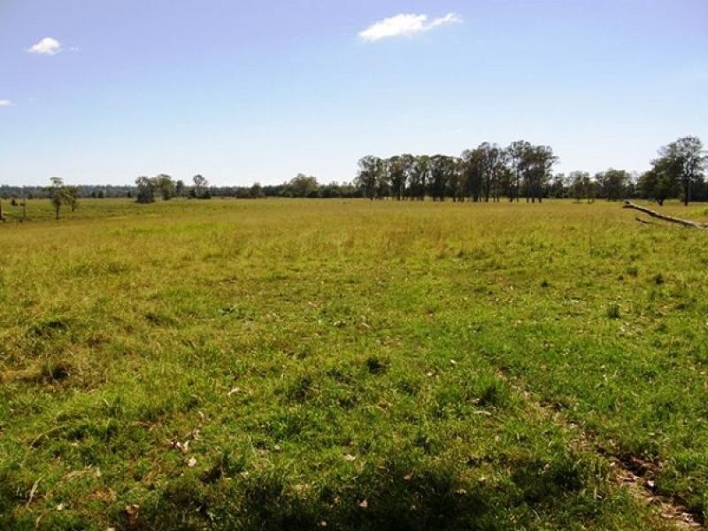 Lot 119 Orara Downs Road, Levenstrath NSW 2460