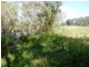 Lot 119 Orara Downs Road, Levenstrath NSW 2460
