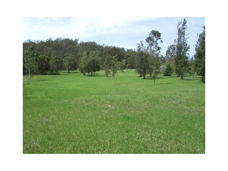 1016 Clarence Way, Whiteman Creek NSW 2460