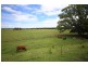 449 Back Kings Creek Road, Lawrence NSW 2460