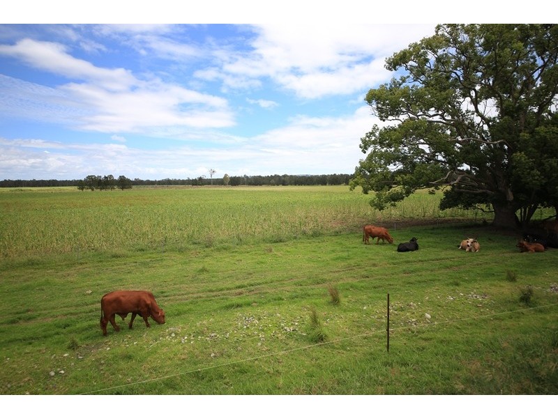 449 Back Kings Creek Road, Lawrence NSW 2460