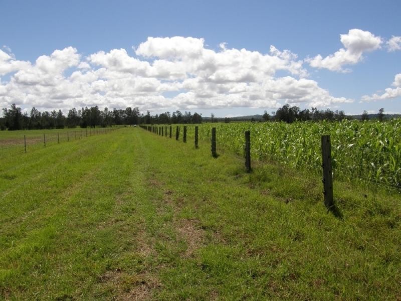 449 Back Kings Creek Road, Lawrence NSW 2460