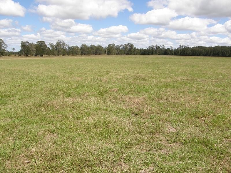 449 Back Kings Creek Road, Lawrence NSW 2460