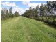 449 Back Kings Creek Road, Lawrence NSW 2460