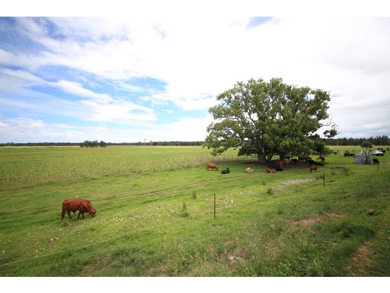 449 Back Kings Creek Road, Lawrence NSW 2460