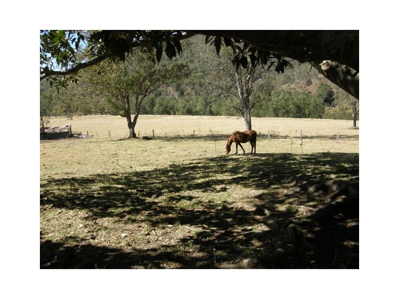 6929 Old Glen Innes Road, Newton Boyd NSW 2370