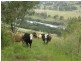 Lot 2 Wongabri Road, Jackadgery NSW 2460