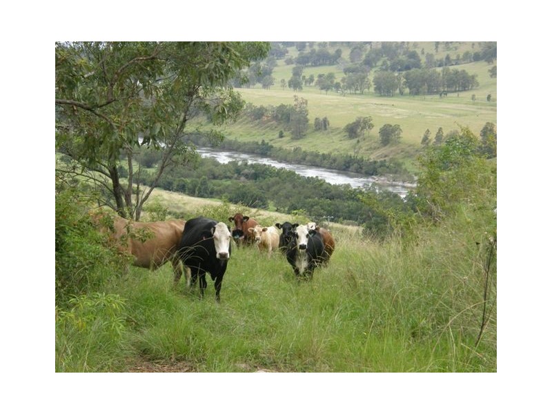 Lot 2 Wongabri Road, Jackadgery NSW 2460