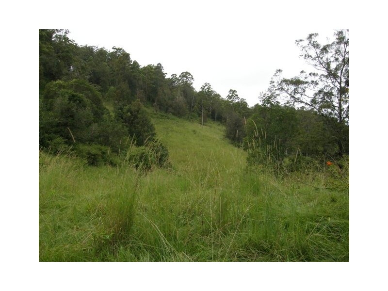 Lot 2 Wongabri Road, Jackadgery NSW 2460