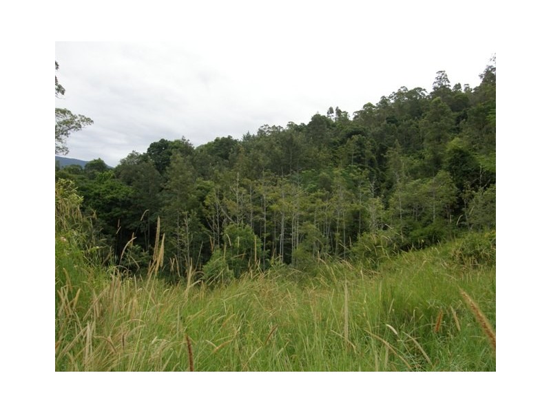 Lot 2 Wongabri Road, Jackadgery NSW 2460
