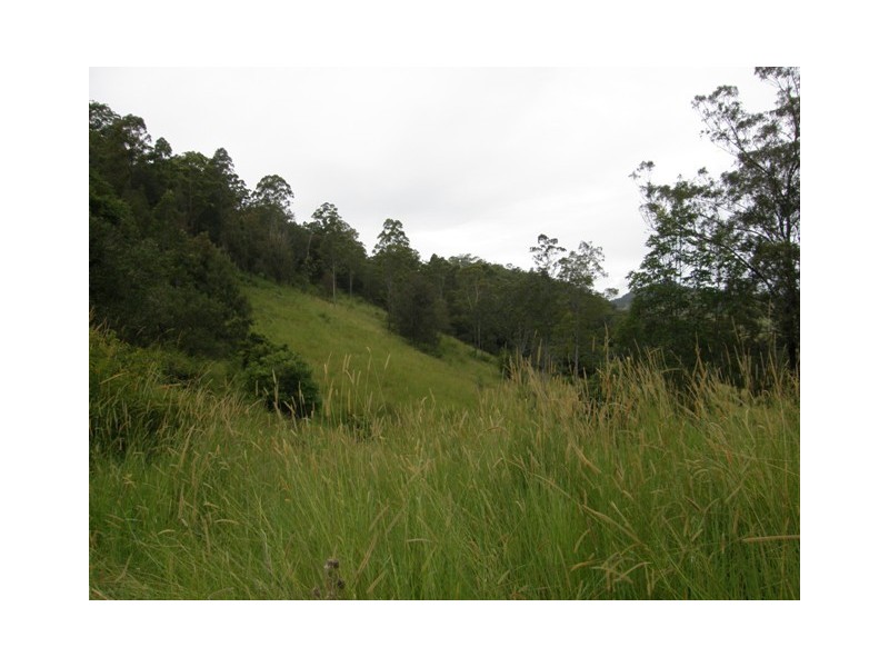 Lot 2 Wongabri Road, Jackadgery NSW 2460