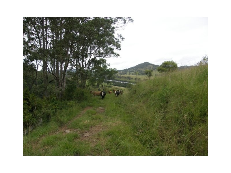 Lot 2 Wongabri Road, Jackadgery NSW 2460