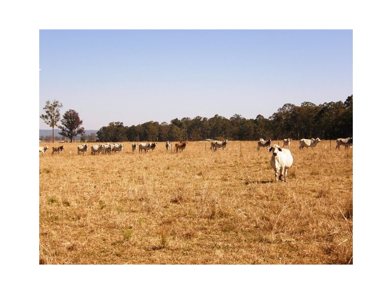 Various Lots Orara Downs Lane, Levenstrath NSW 2460
