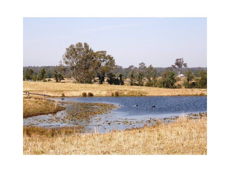 Various Lots Orara Downs Lane, Levenstrath NSW 2460