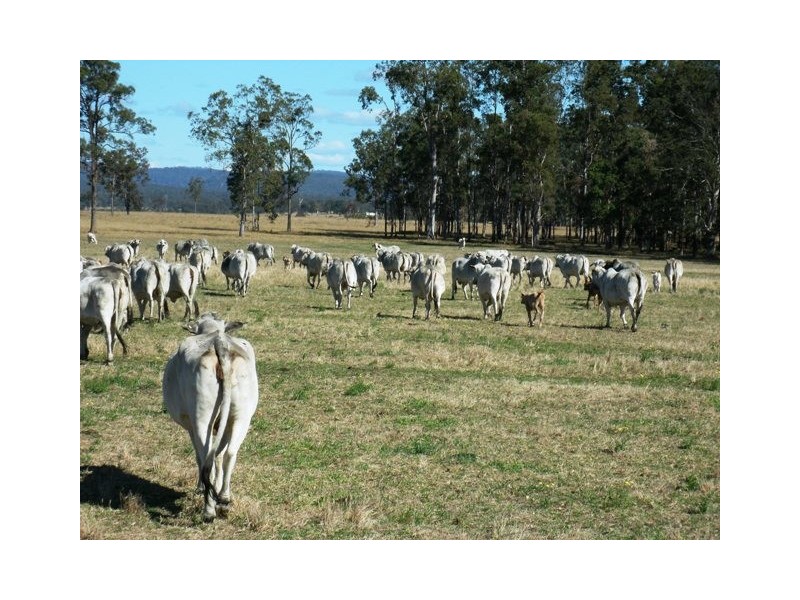 Various Lots Orara Downs Lane, Levenstrath NSW 2460