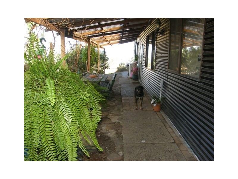 1698 Kangaroo Creek Rd, Kangaroo Creek NSW 2460
